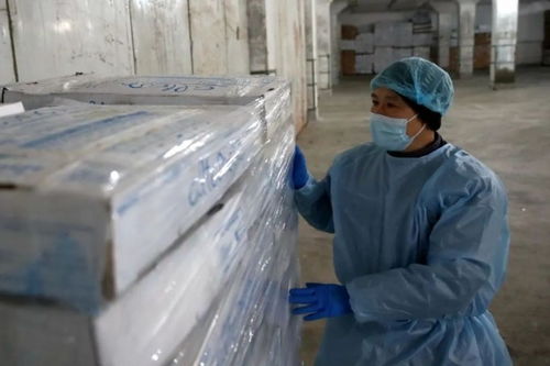 直擊上海冷庫第一線 進口冷鏈食品還能吃嗎？張文宏這樣建議